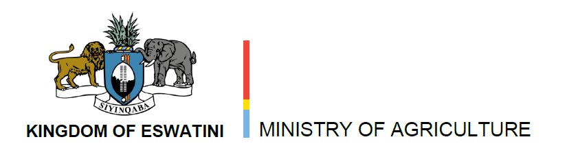 Government of Eswatini